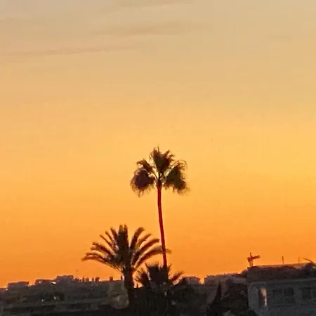 Casa De Palmas *